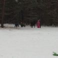2017-01 - Winter in Arnsdorf